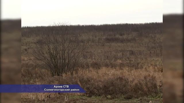Проблема возврата долгов за аренду в Солнечногорье. 01.2014 смотреть онлайн