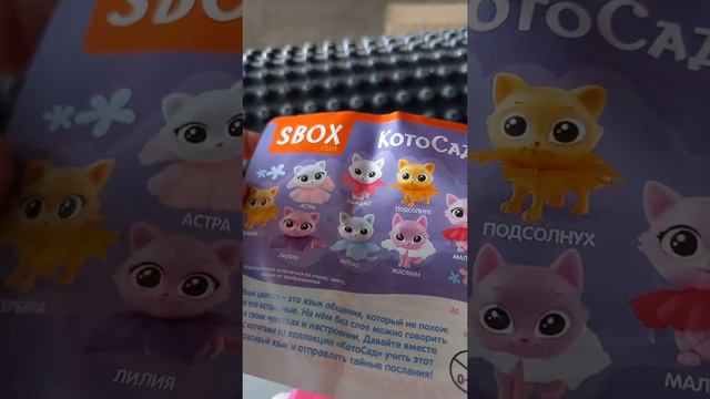 🐈распаковка SBOX🎁