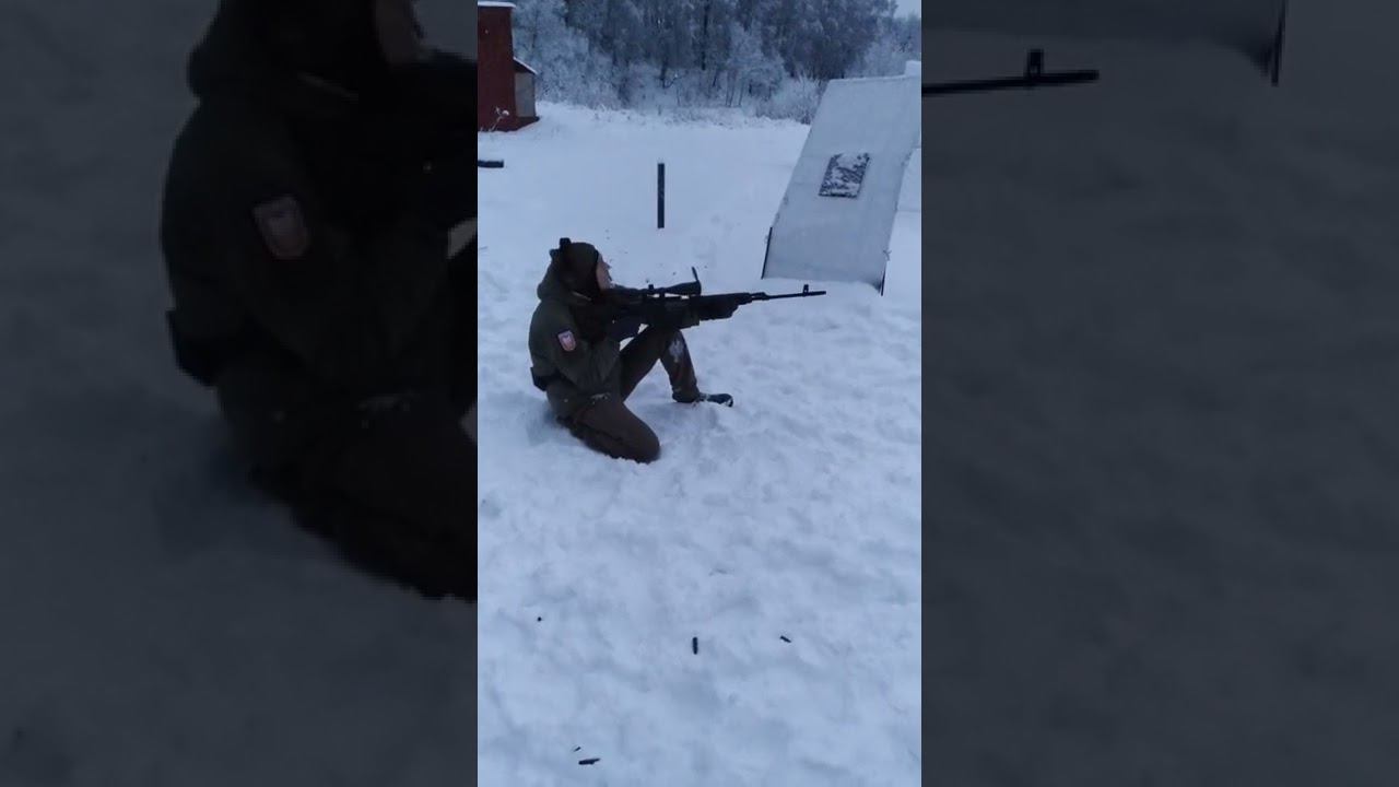 Стрельба из Тигра 7.62×54R