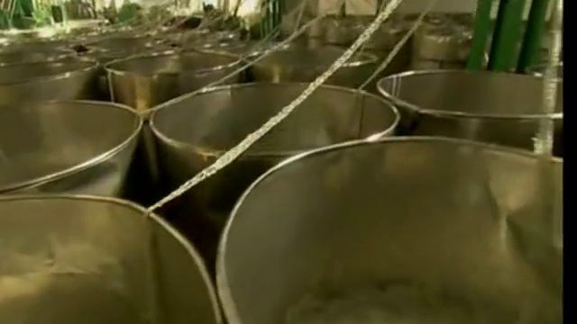 How Plastic Bottles Are Recycled Into Polyester смотреть онлайн