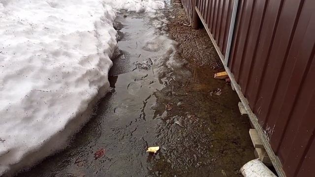 Весенняя вода, Собака ,тает снег, Как тает снег, весенняя пора смотреть онлайн
