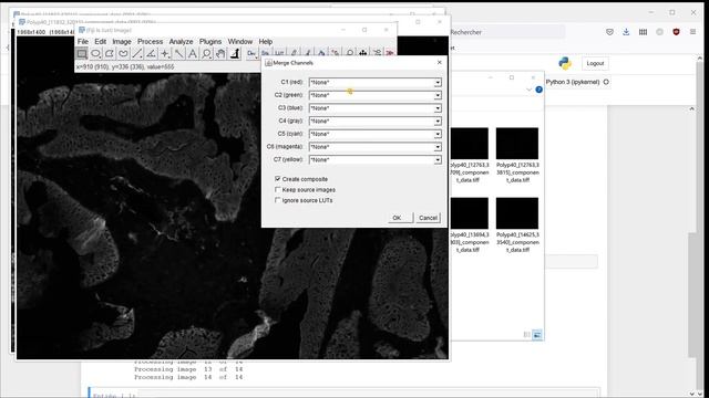 Deep learning for biologists - Tissue segmentation - UNet processing (Python) смотреть онлайн