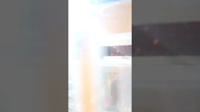 Опатия, Хорватия вид с автобуса смотреть онлайн