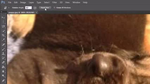Photoshop Tutorial 8 Hand Tool YouTube смотреть онлайн