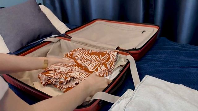 Обзор на чемодан NINETYGO Lightweight Luggage 20 смотреть онлайн