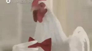 Кука реку