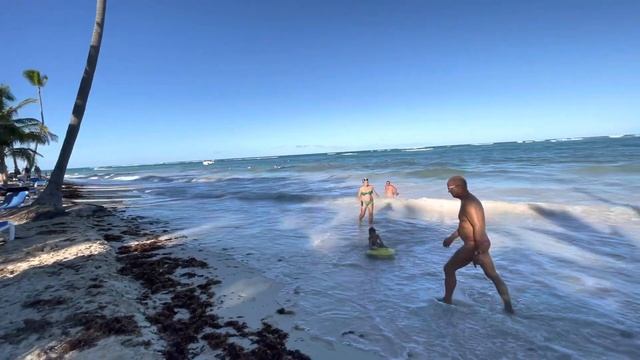 Vik arena blanca 4, Анимация в отеле, Пунта Кана 2022, Доминикана отели все включено смотреть онлайн