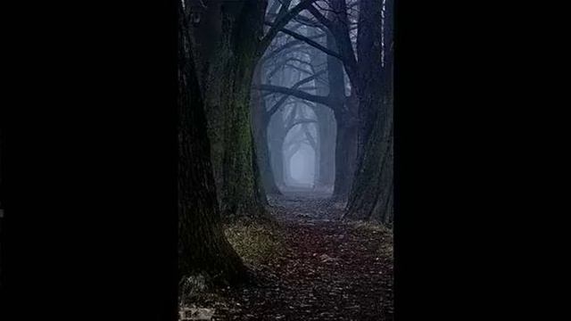 Dark forest FLIPKNOT Parvati Records Series 16 24 11 2016 смотреть онлайн