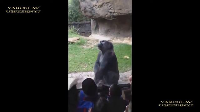 Лучшие Приколы Рунета [Выпуск #16 - Новый Год 2014] [Приколы На Новый Год]