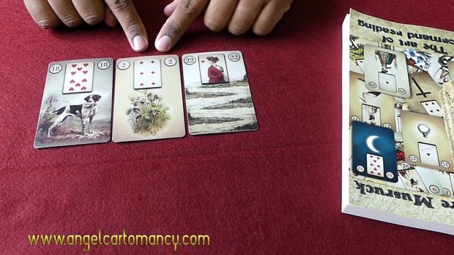 Episode 17 | How to read a Lenormand 3 card spread | Lenormand 101 смотреть онлайн