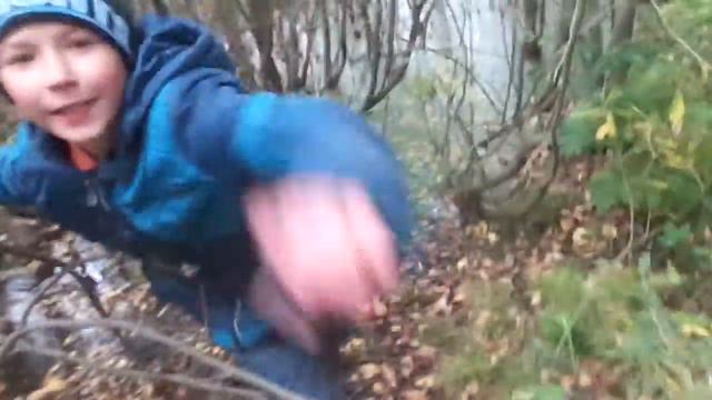 Исследуем болото