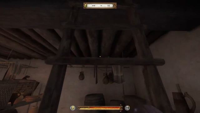 Kingdom Come: Deliverance boy tries to fight ladder смотреть онлайн
