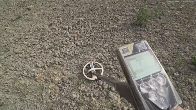 НАВЕЛИ на МЕСТО! НАШЕЛ ЗОЛОТО, червонец, шиллинги, гроши-СЕРЕБРО! Но ВСЁ, золото, ОТДАЛ... смотреть онлайн