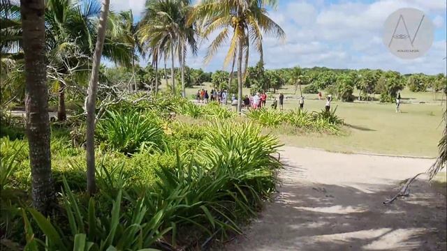 ? ZONA ARQUEOLÓGICA DE TULUM ? Rivera Maya | AVanguardia #travel #viral #México смотреть онлайн