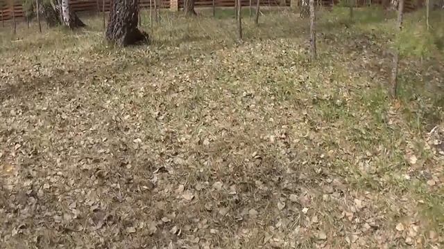 Газоны, автополив и насос ЧАСТЬ 1 смотреть онлайн