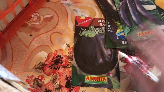 Сею на рассаду перцы и баклажаны. Выращивание без пикировки смотреть онлайн