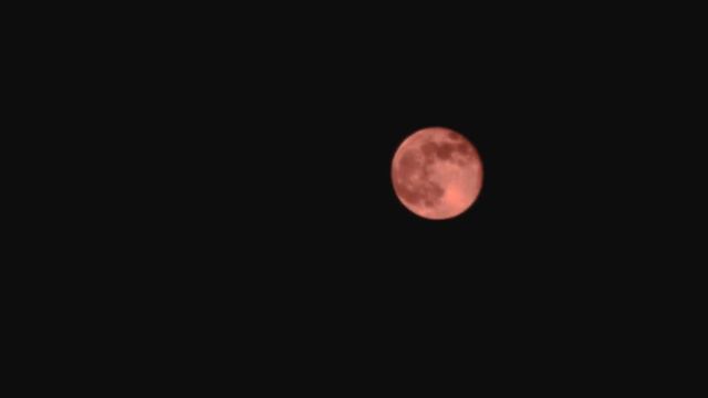 Super Pink Moon April 2020 смотреть онлайн