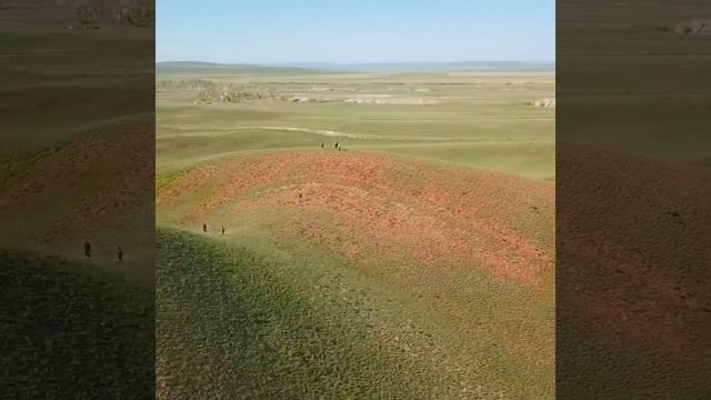 Буртинская степь Оренбургская область