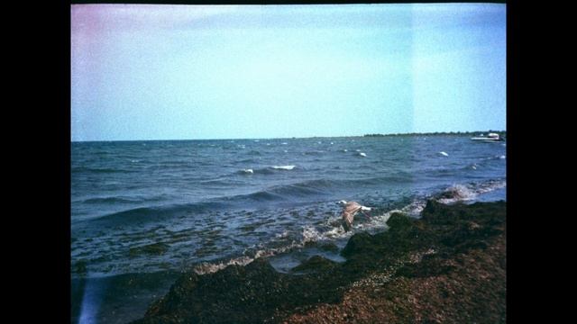 Agat 18 Обзор и примеры фото смотреть онлайн