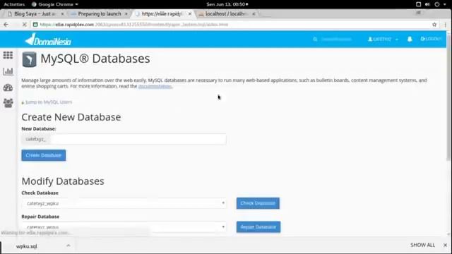 Transfer wordpress site from localhost to server смотреть онлайн