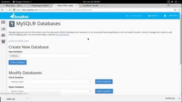 Transfer wordpress site from localhost to server