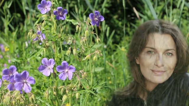 Запрет религии на гадание смотреть онлайн