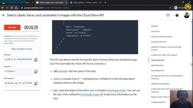 QwikQuest – Detect Labels, Faces, and Landmarks in Images with the Cloud Vision API смотреть онлайн