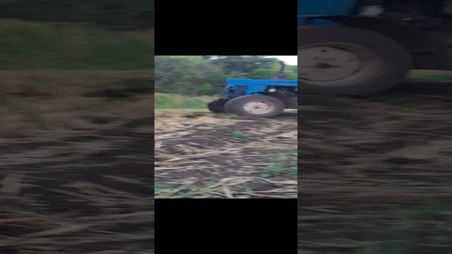 культивация