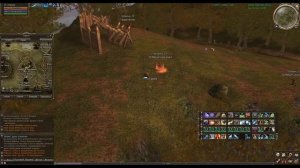 Максимально Эффективная Прокачка Мага и Клерика 20-30 ур Lineage 2