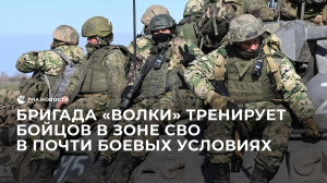 Бригада "Волки"