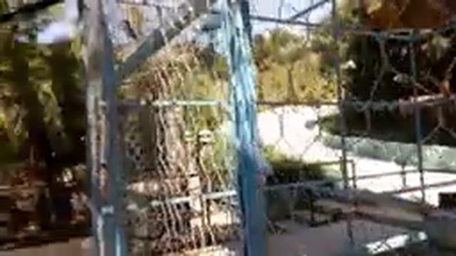 Сафари парк. смотреть онлайн