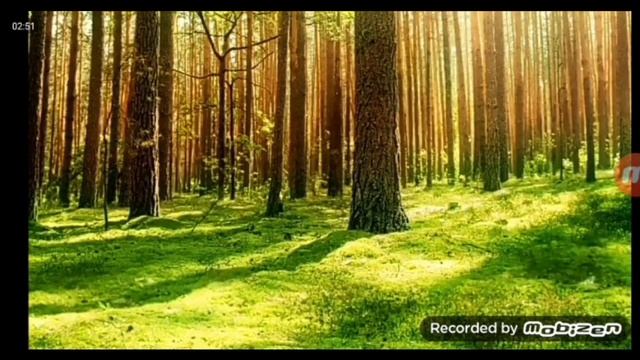 Romaneck5978 react's to: OC scaling ep. 6 - Georgie vs AATMB смотреть онлайн