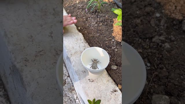 Турция Гейнюк море 2022 год. смотреть онлайн