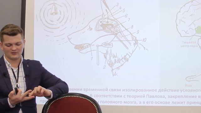 Наука о мозге и мифы психологии. Андрей Курпатов и Илья Мартынов смотреть онлайн