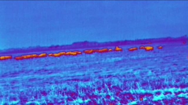 REAL Thermal Imaging for Smart Phones 2019: Therm-App смотреть онлайн