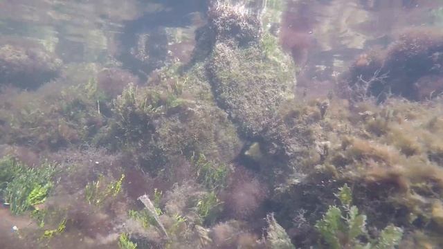 Поездка в Ки Вест и Маратон Флорида(4). смотреть онлайн