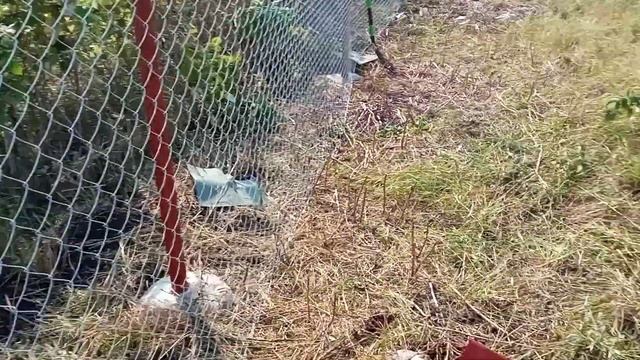 Натяжка сетки-рабицы мотоблоком. часть 2 смотреть онлайн