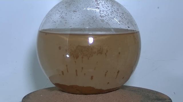 Gold Reduction with Oxalic Acid -Complete Process смотреть онлайн
