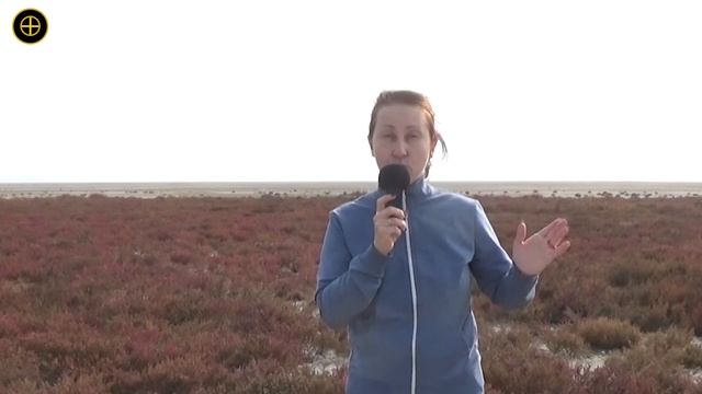 Places of power in the Krasnodar Territory. the Black Sea. Soleros plants.Mila Naturist. смотреть онлайн