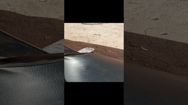 VID_20230422_150528.mp4