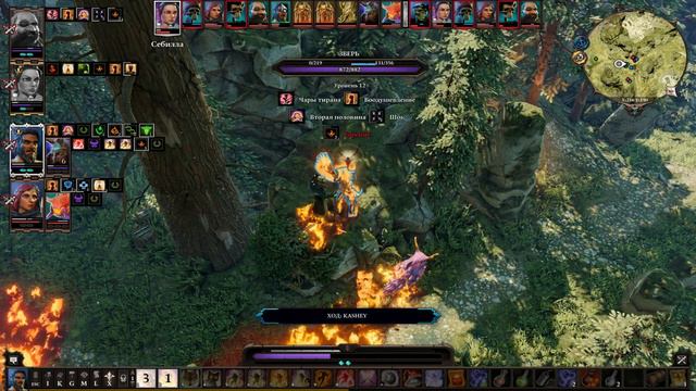 Злые медведи - Divinity: Original Sin 2 №48