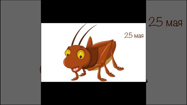 Почему саранчу надо бояться? | Кристаллики добрых мыслей смотреть онлайн