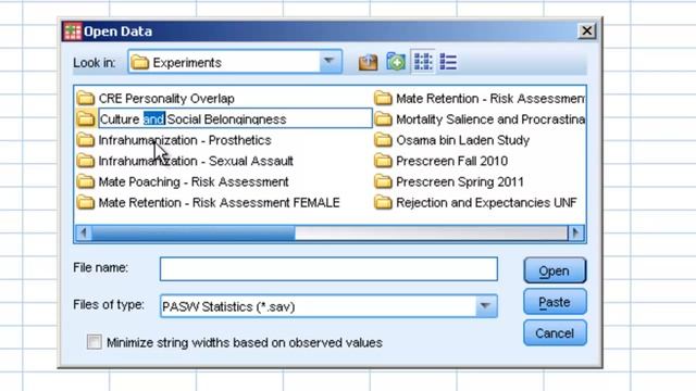 Importing Data from Excel into SPSS/PASW смотреть онлайн