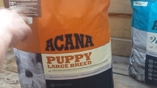 Перевожу своих собачек, на корм Акана (холистик) смотреть онлайн