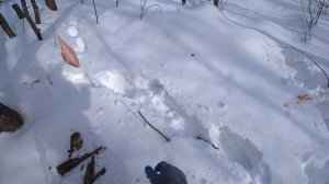 Рогатка для рыбалки. Рогатка против курицы. Мощность рогатки. Slingshot fishing