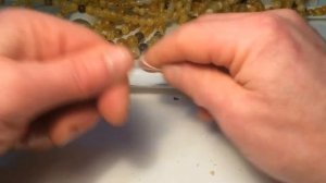 как завязать замок на бусах. https://amberis.ru/ привязать замок к бусам. https://amberis.ru/