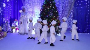 Танец  белых мишек. Видео Sirin