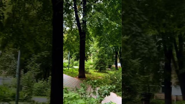 Гуля Мусаева