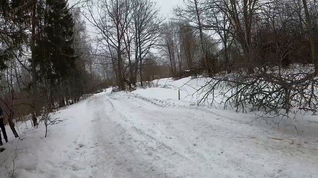 ПРОГУЛКА С КОНЕМ РУФЕРОМ ПО ОКРАИНАМ ПОСЕЛКА смотреть онлайн