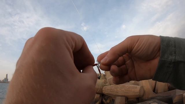 Lost a metal jig to a barracuda смотреть онлайн